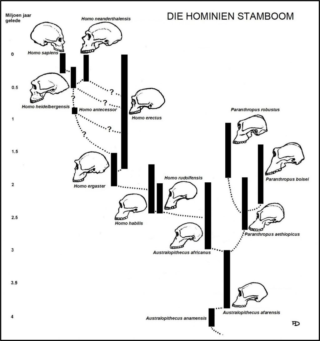 evolusie-van-die-mens-1-inleiding-die-w-reld-om-ons
